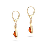 Load image into Gallery viewer, Amber Wonderland Earrings