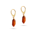 Load image into Gallery viewer, Octagon Amulet Earrings
