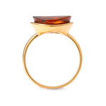 Load image into Gallery viewer, Amber Medallion Ring