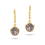 Load image into Gallery viewer, Hazy Ice Round Cut Earring