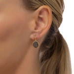 Load image into Gallery viewer, Falcon Eye Hazy Grey Earrings