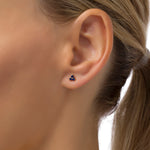 Load image into Gallery viewer, The Blue Moon Earrings