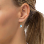 Load image into Gallery viewer, Blue Frost Round Cut Earring