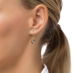Load image into Gallery viewer, Hazy Ice Round Cut Earring