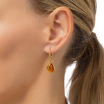 Load image into Gallery viewer, Amber Droplets Earrings