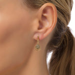 Load image into Gallery viewer, Morning Dew Hazy Grey Drop Earrings