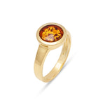 Load image into Gallery viewer, Natures Amulet Ring