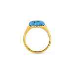 Load image into Gallery viewer, Eye of Turquoise Ring