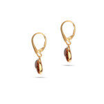 Load image into Gallery viewer, Amber Medallion Earrings
