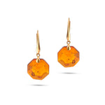 Load image into Gallery viewer, Octagon Amulet Earrings