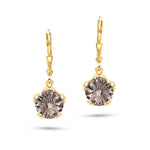 Load image into Gallery viewer, Hazy Ice Round Cut Earring