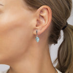 Load image into Gallery viewer, Morning Dew Aqua Earrings