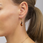 Load image into Gallery viewer, Golden Storm Honey Earrings