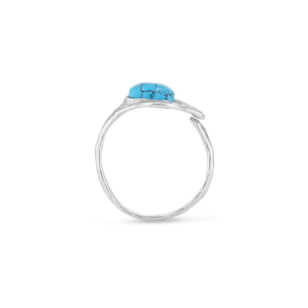 The Blue Planet Ring